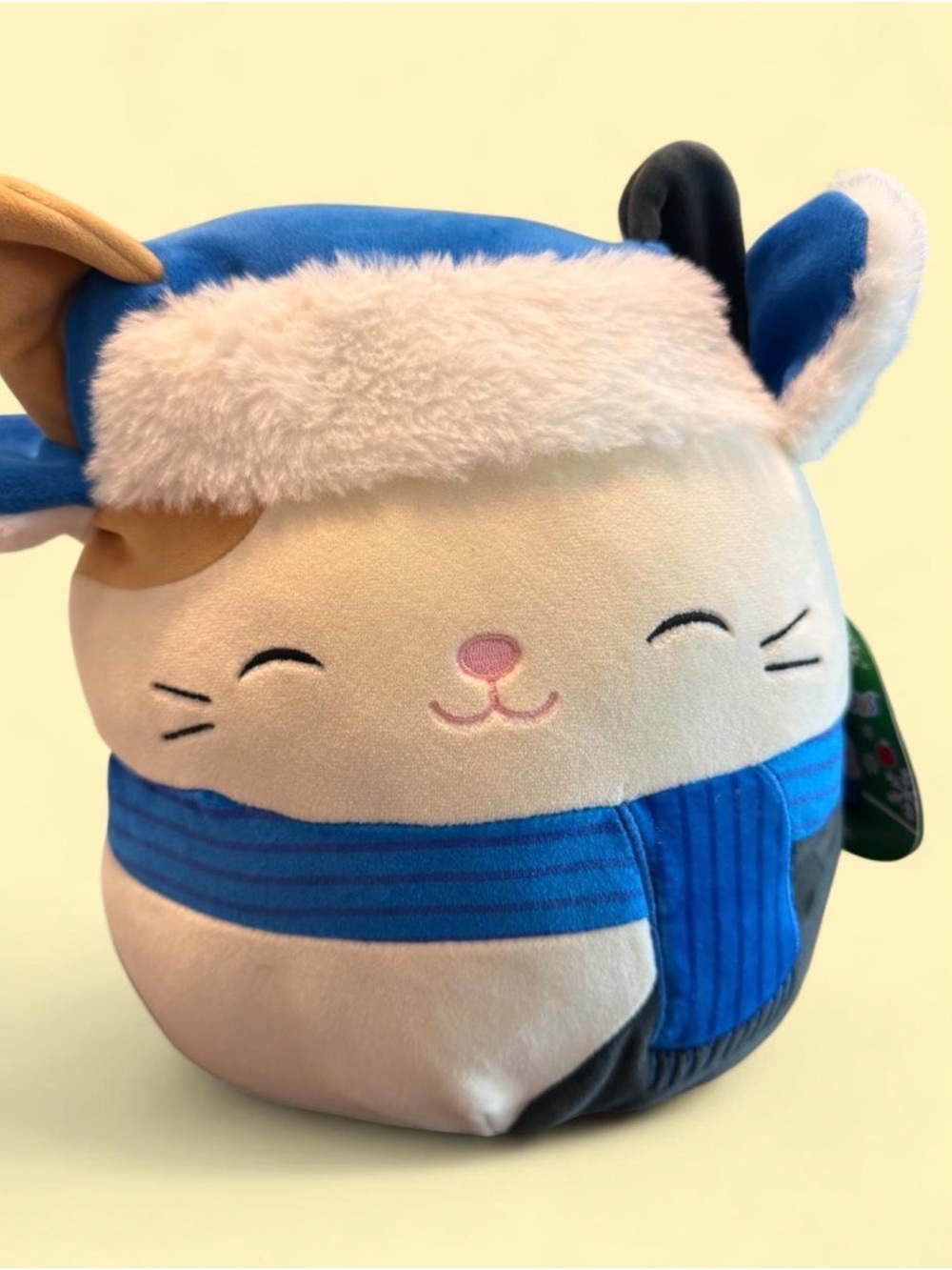 Plush Cam the Cat Squishmallows in Blue and Cream - RARE Cozy Holiday Cat Plush